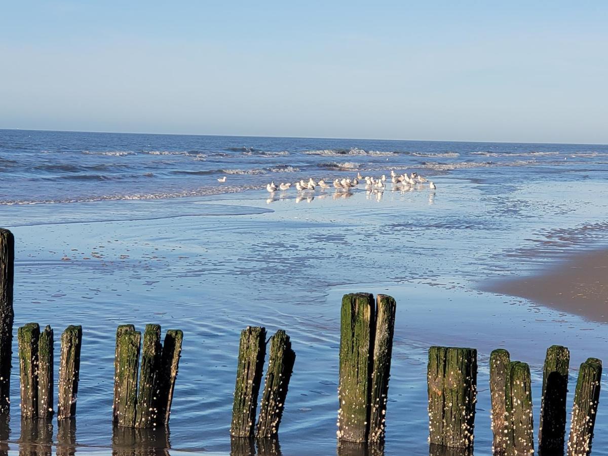 Pension Canberra Bergen aan Zee Eksteriør bilde