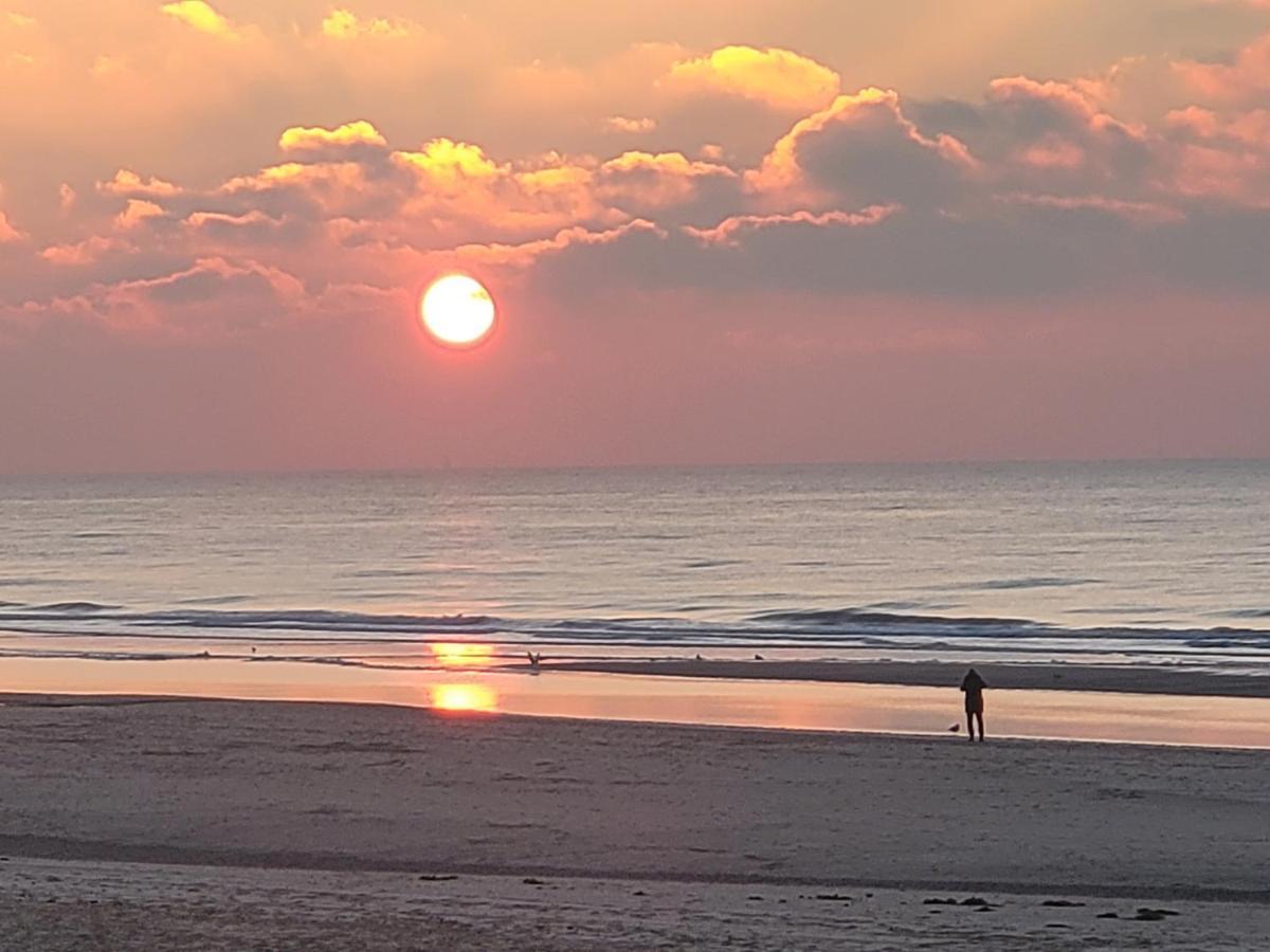 Pension Canberra Bergen aan Zee Eksteriør bilde